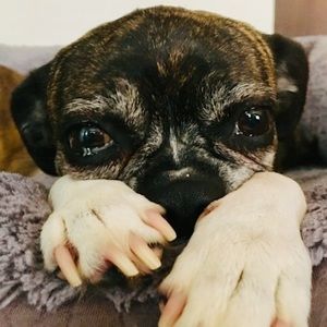 Meet your Posher, Olive